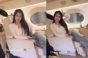 国产大乳,重塑民族乳业辉煌的崛起之路