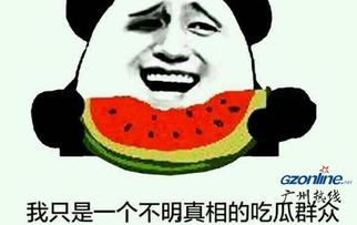 吃瓜群众的梗哪来的,网络时代的流行文化现象解析